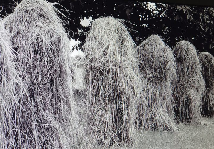 Historisches Foto aus der Firmengeschichte